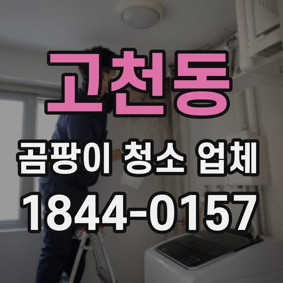 고천동 곰팡이 청소 업체