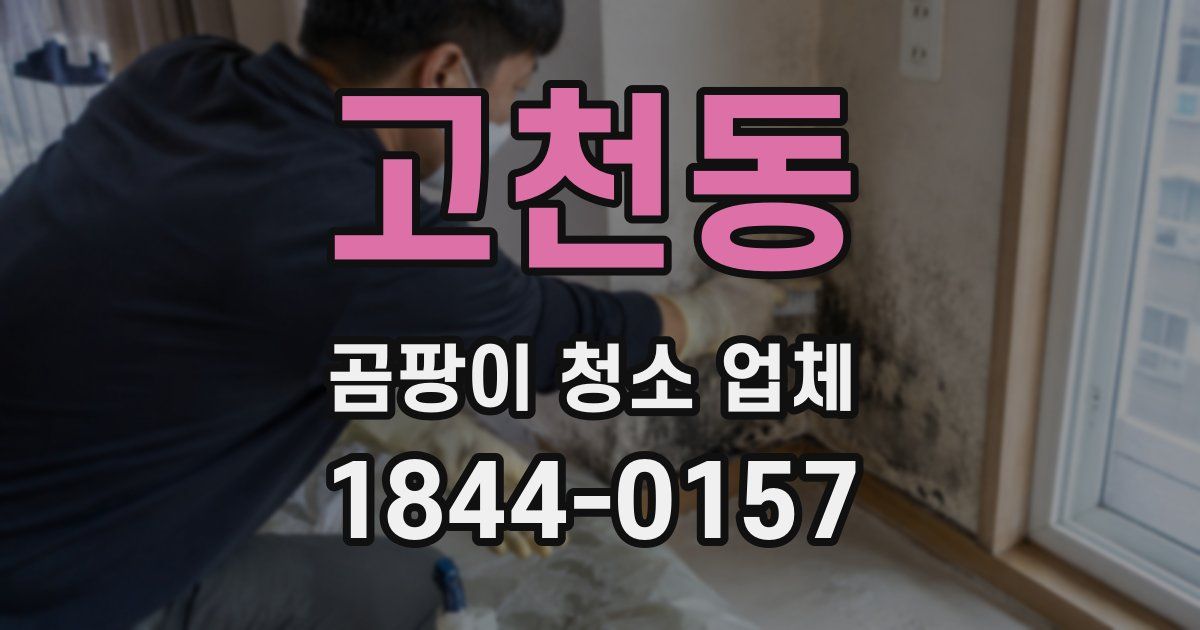 고천동 곰팡이 청소 업체
