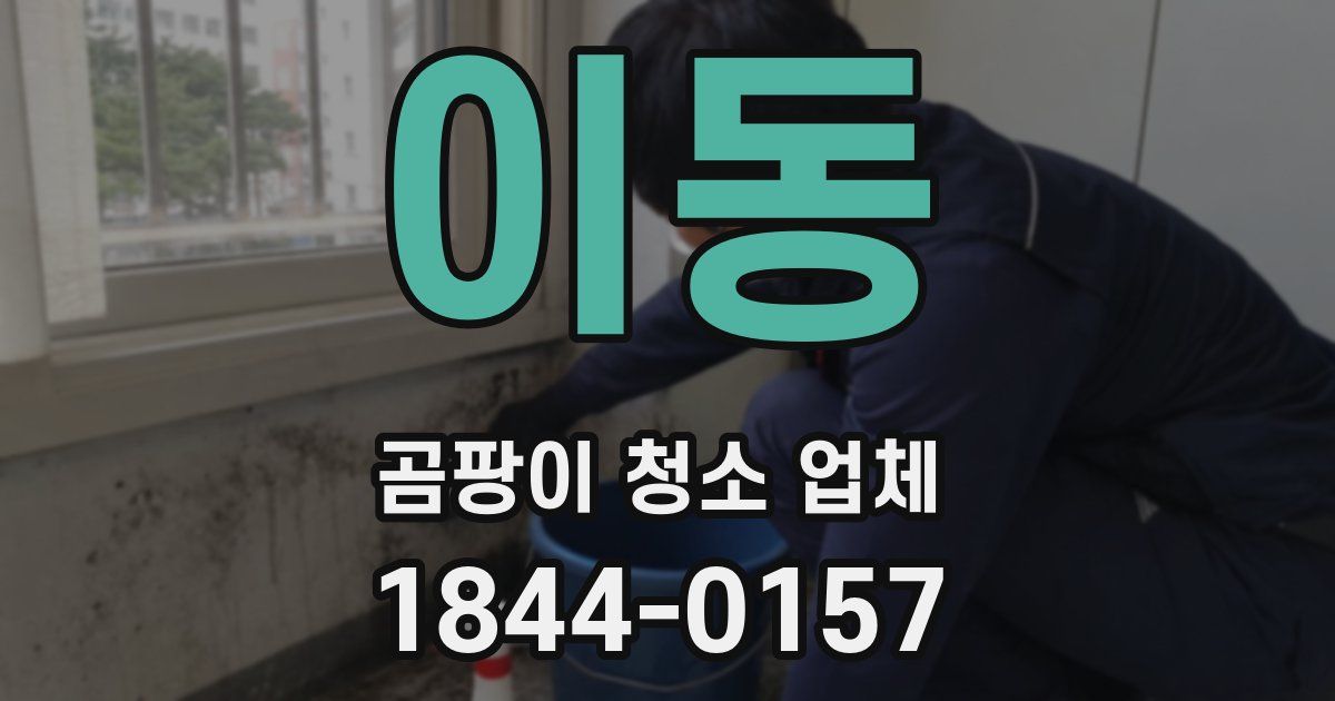 이동 곰팡이 청소 업체