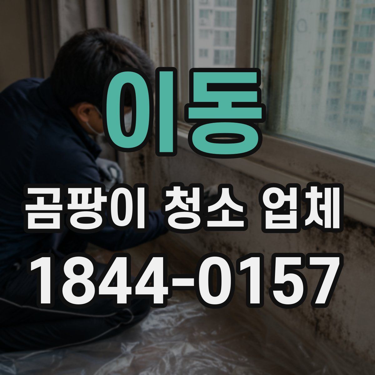 이동 곰팡이 청소 업체