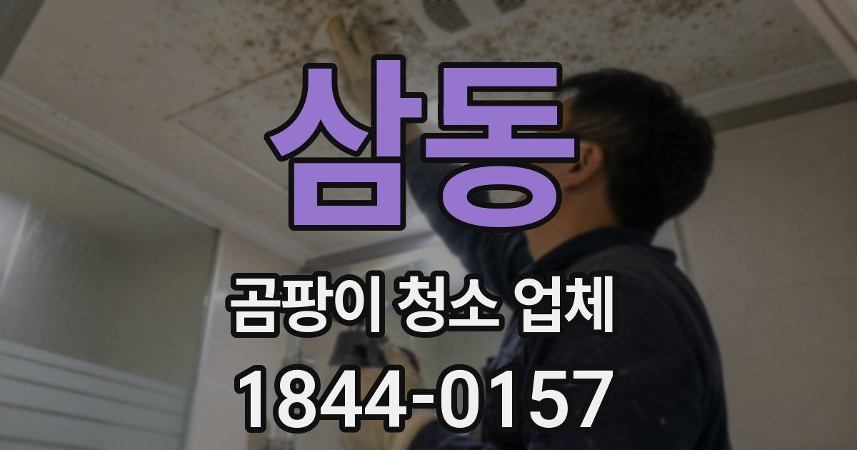 삼동 곰팡이 청소 업체