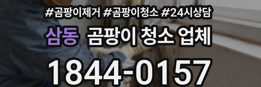 삼동 곰팡이 청소 업체
