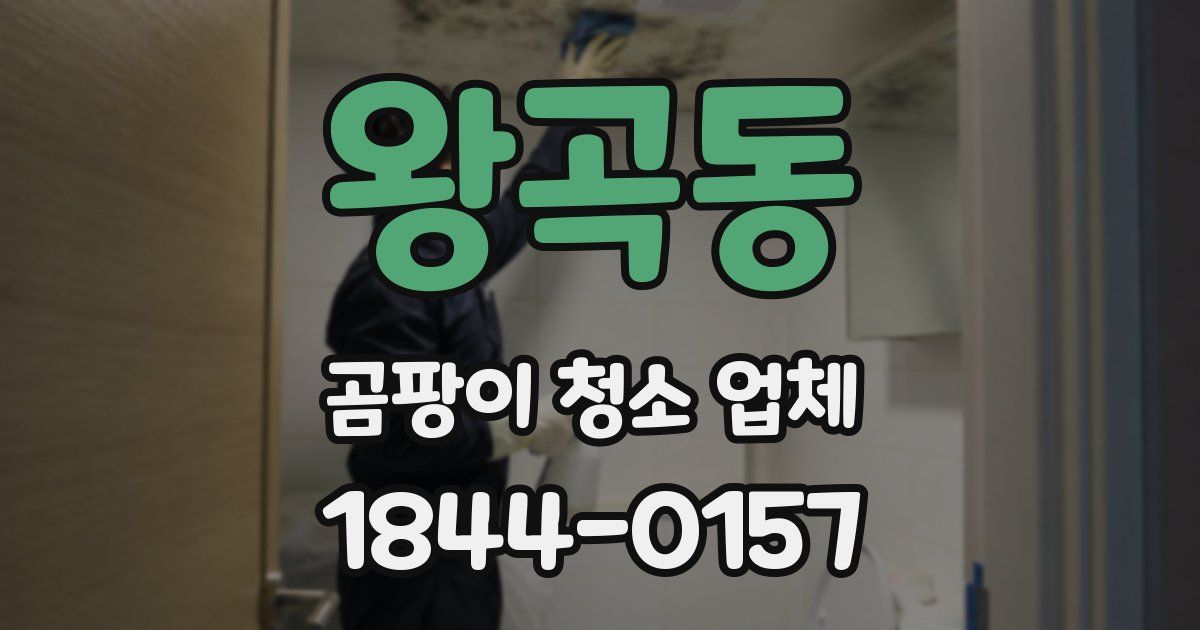 왕곡동 곰팡이 청소 업체
