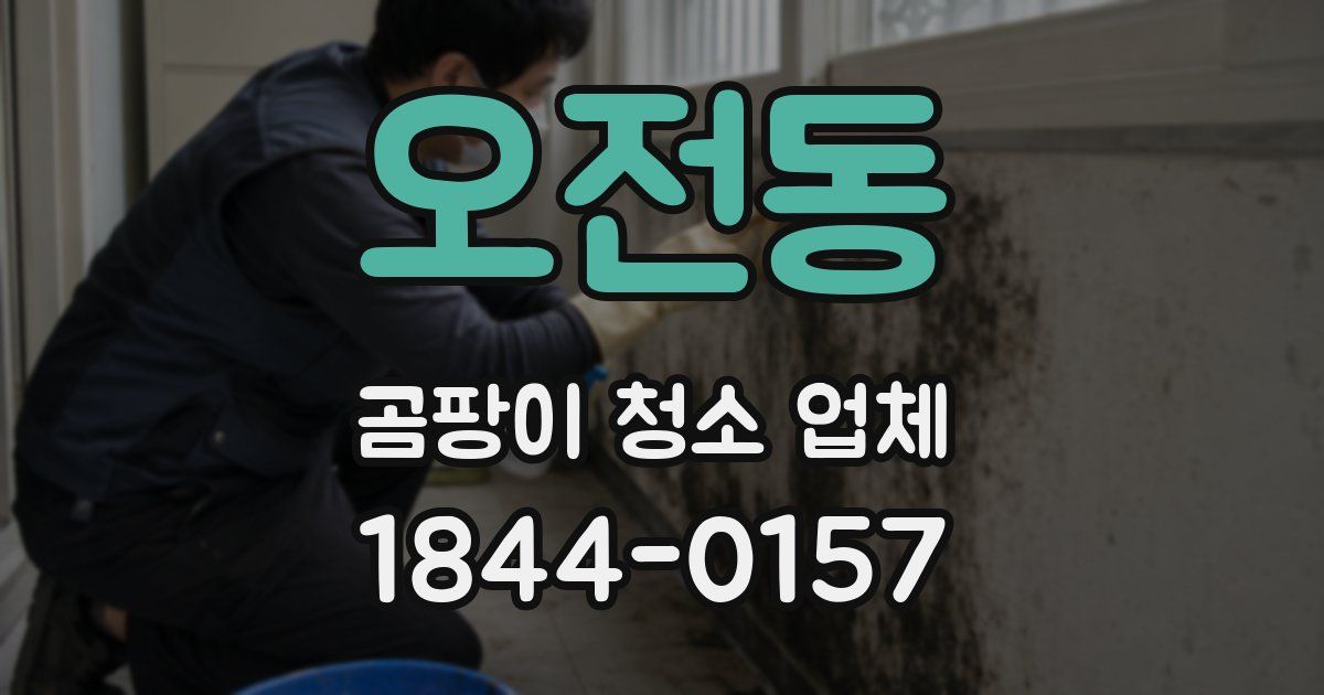 오전동 곰팡이 청소 업체