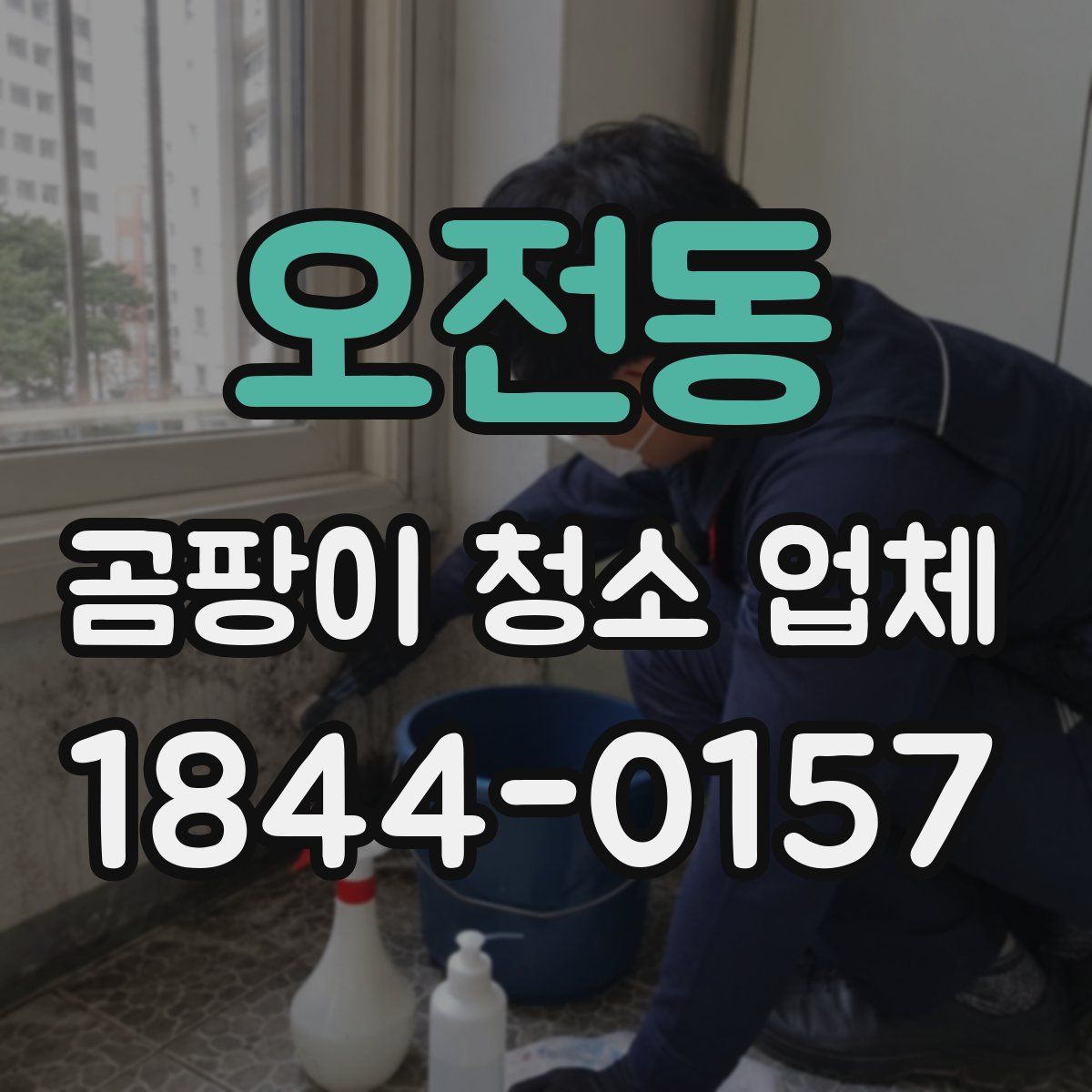 오전동 곰팡이 청소 업체