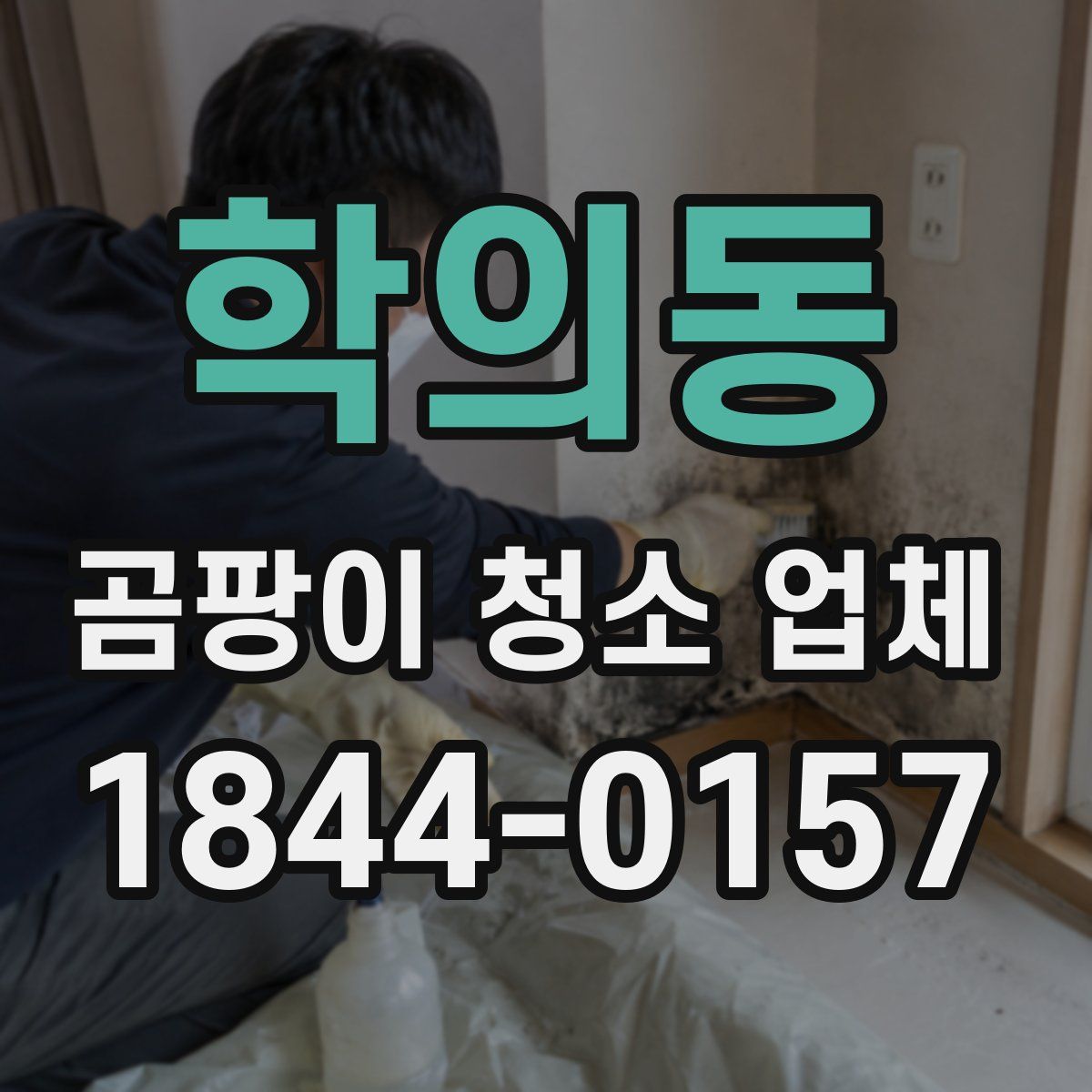 학의동 곰팡이 청소 업체