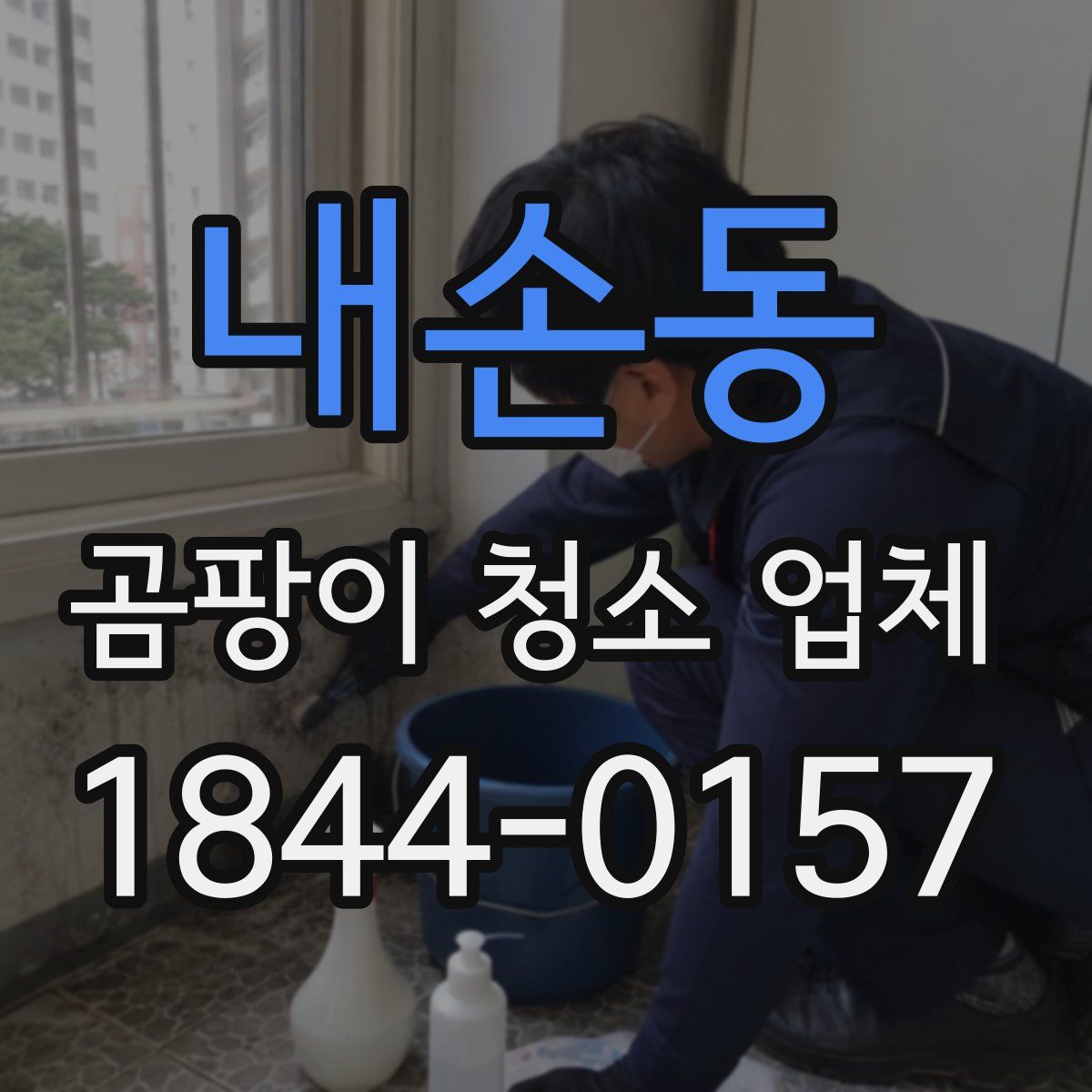 내손동 곰팡이 청소 업체