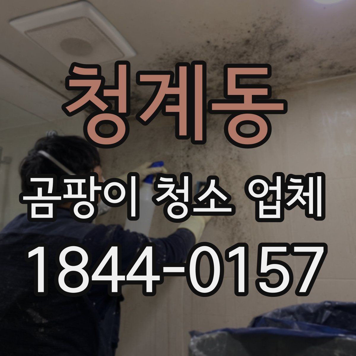 청계동 곰팡이 청소 업체 실내 공기질 회복을 위한 사후 점검 포인트