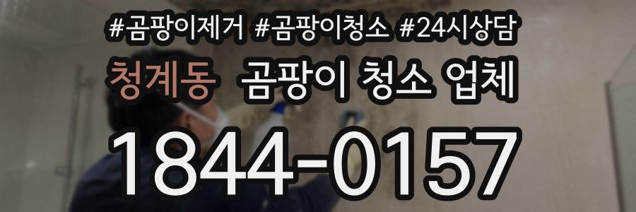 청계동 곰팡이 청소 업체
