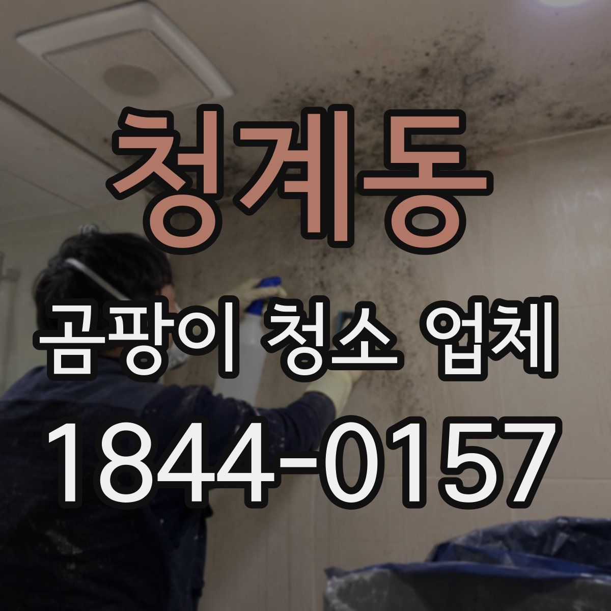 청계동 곰팡이 청소 업체