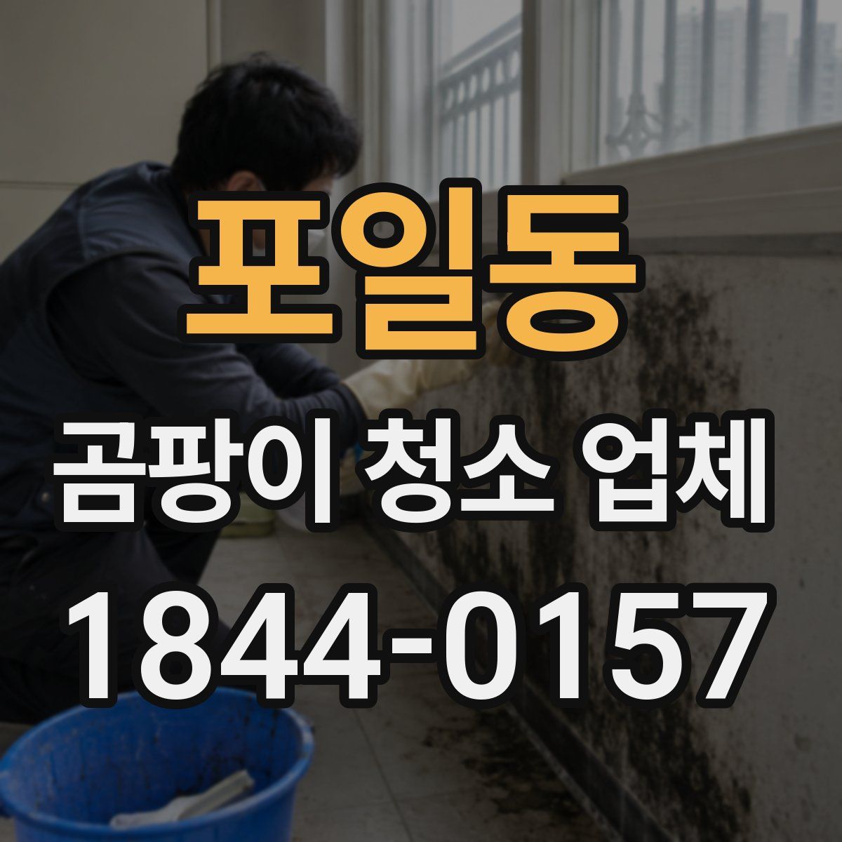 포일동 곰팡이 청소 업체