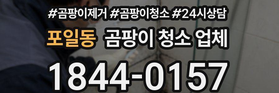 포일동 곰팡이 청소 업체