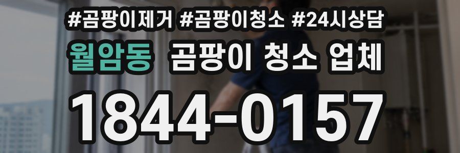 월암동 곰팡이 청소 업체