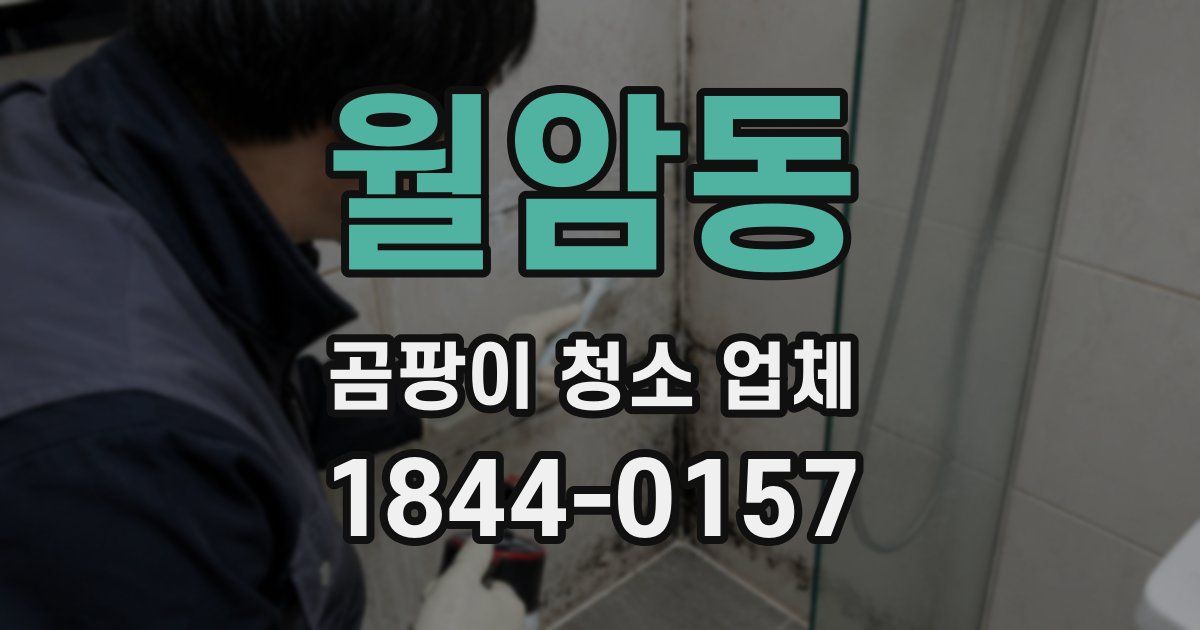 월암동 곰팡이 청소 업체