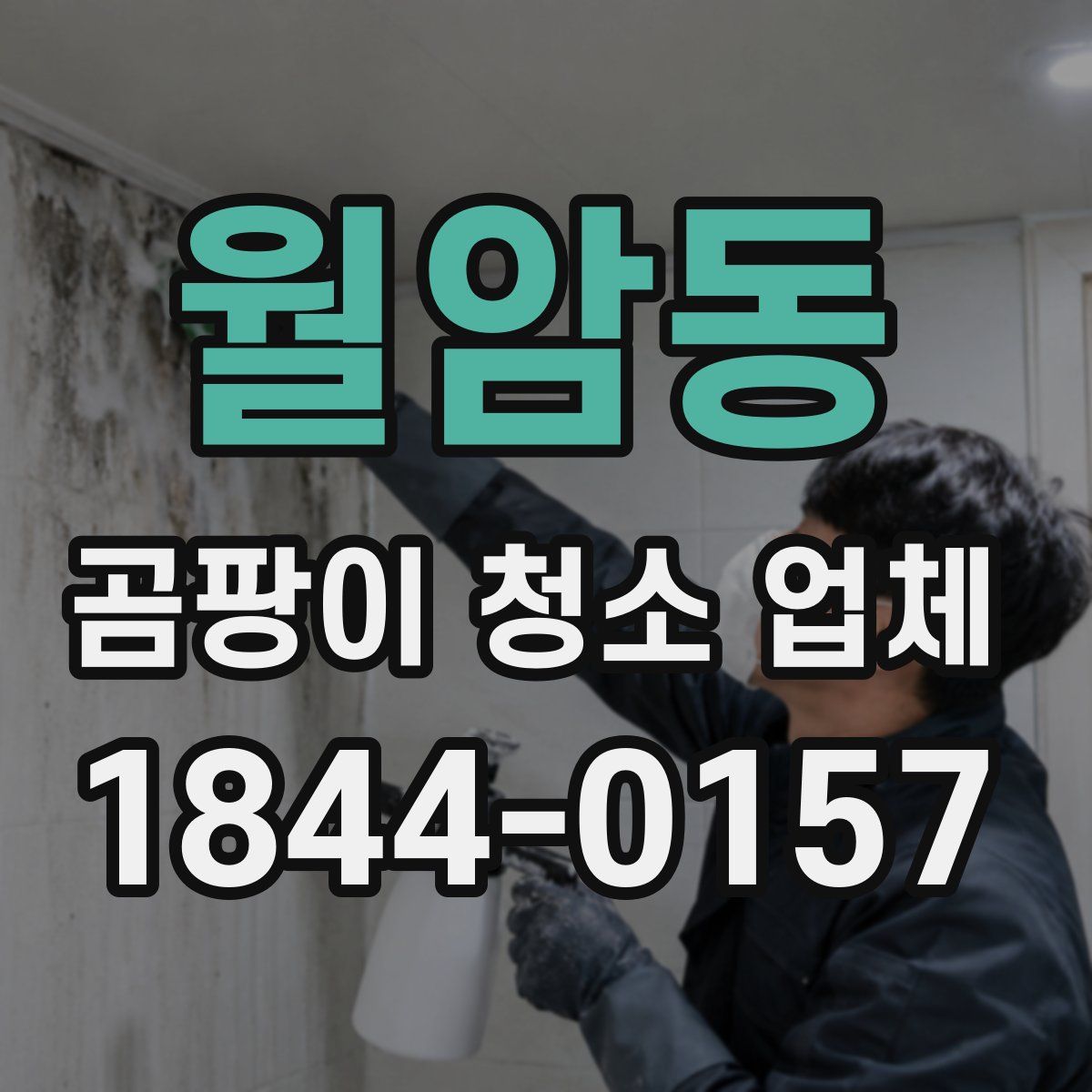 월암동 곰팡이 청소 업체