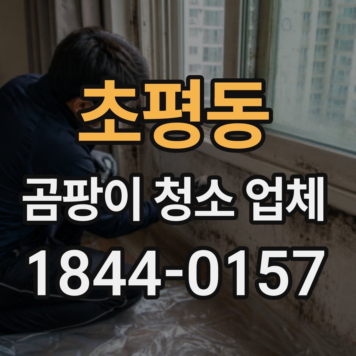 초평동 곰팡이 청소 업체