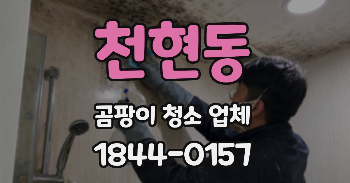 천현동 곰팡이 청소 업체