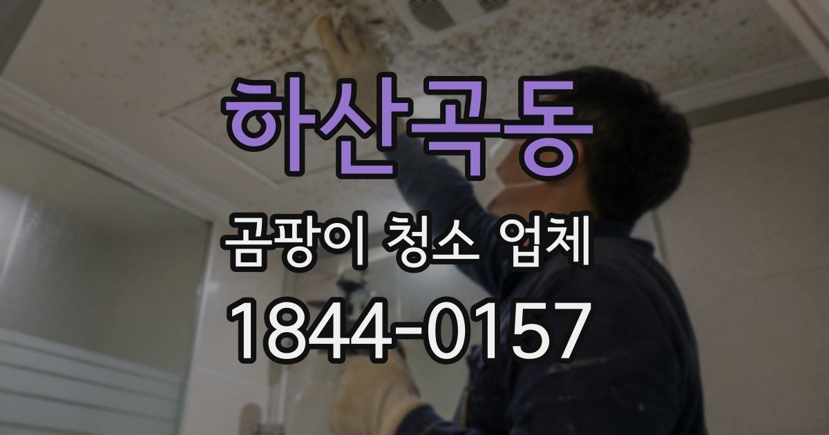 하산곡동 곰팡이 청소 업체
