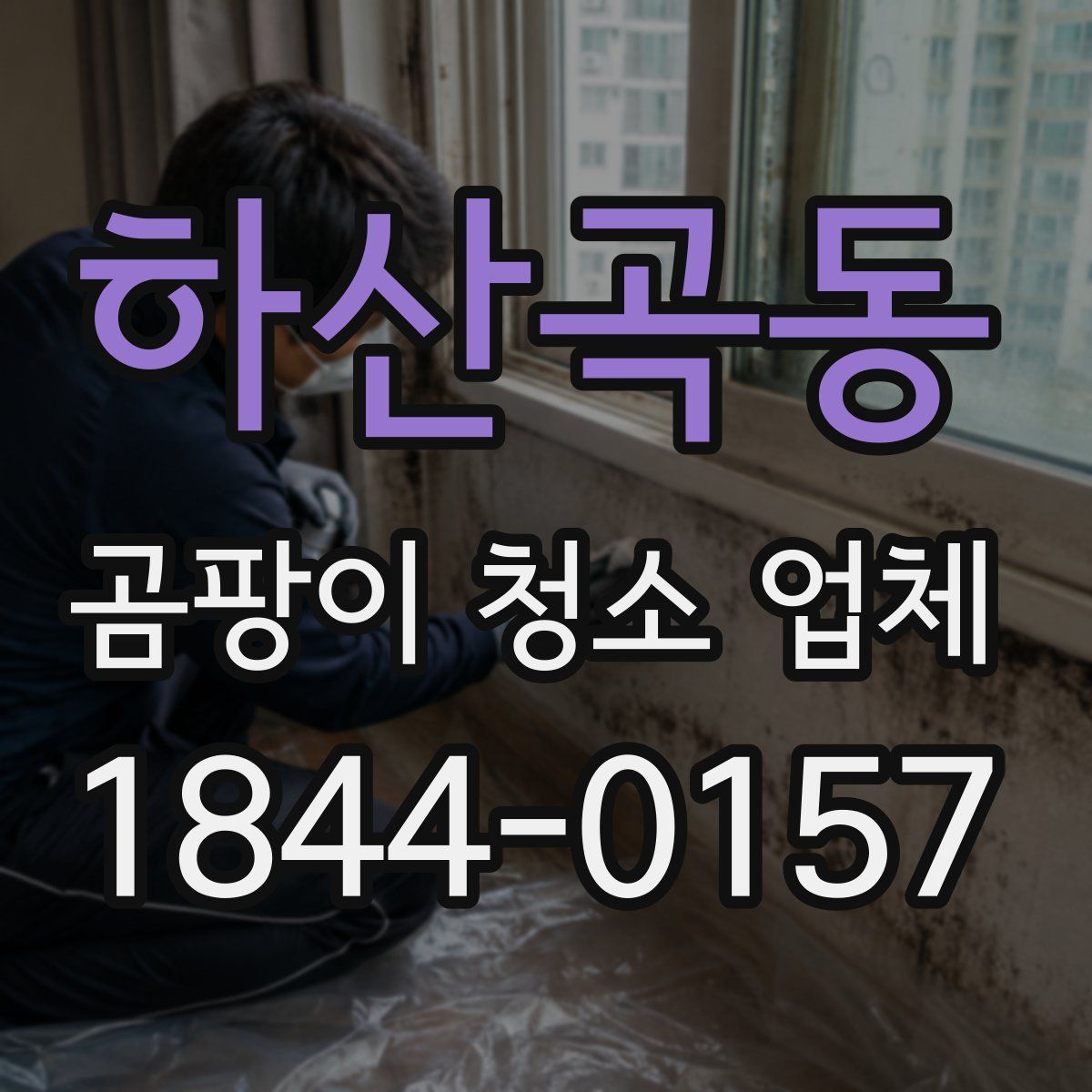 하산곡동 곰팡이 청소 업체
