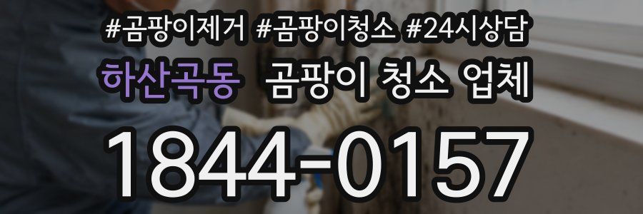 하산곡동 곰팡이 청소 업체