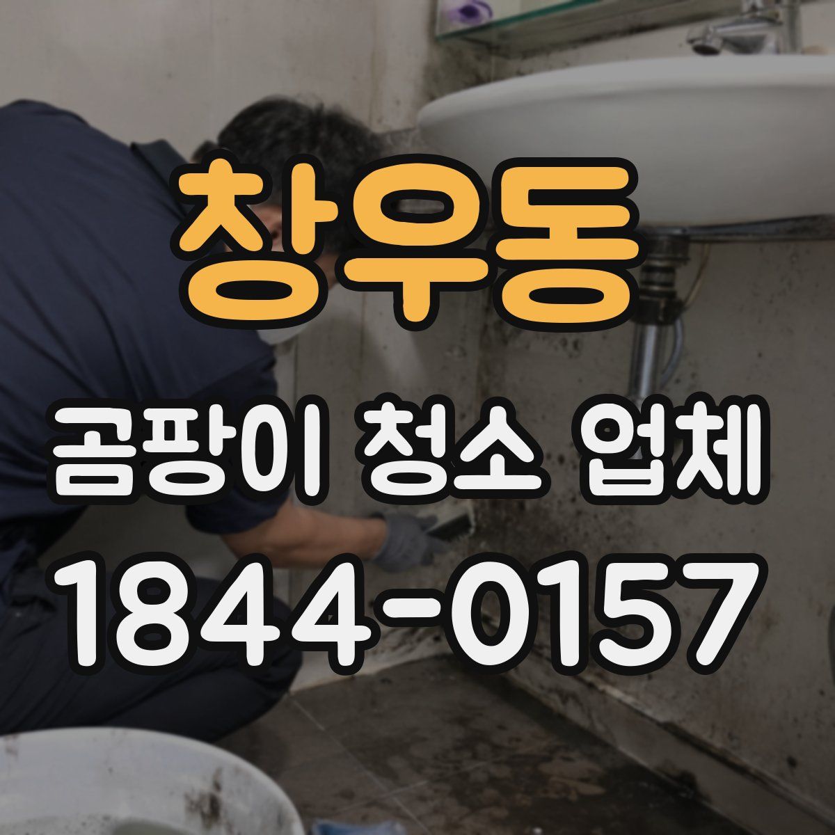 창우동 곰팡이 청소 업체