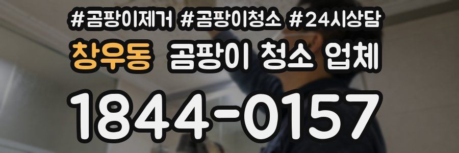 창우동 곰팡이 청소 업체