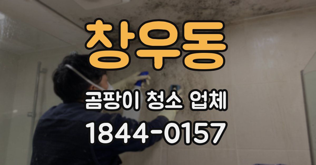 창우동 곰팡이 청소 업체