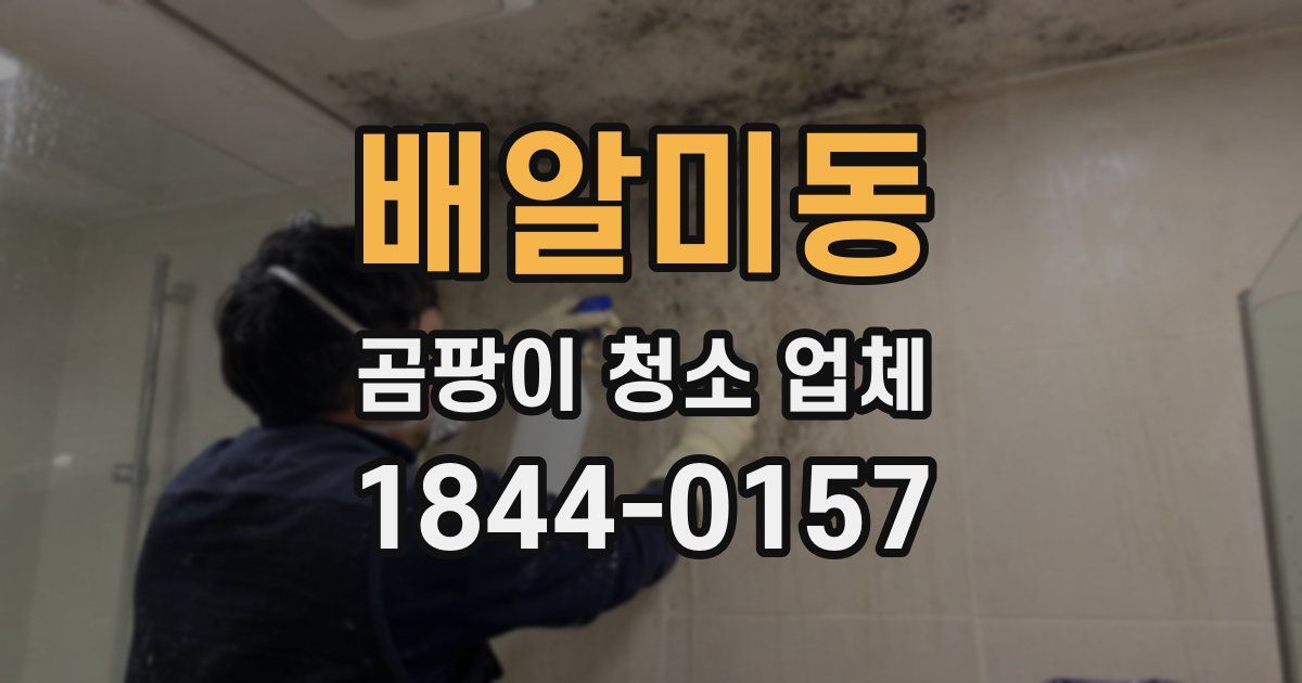배알미동 곰팡이 청소 업체