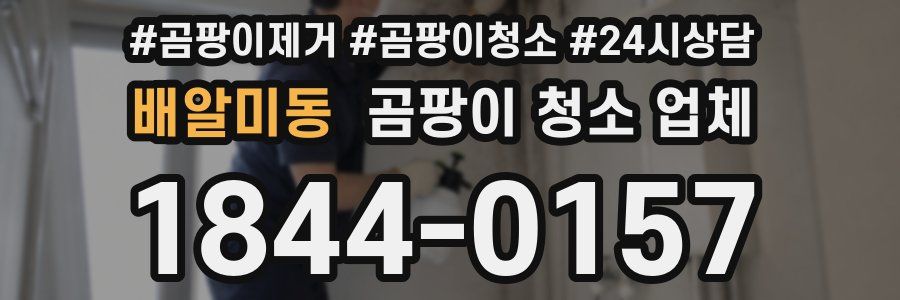 배알미동 곰팡이 청소 업체