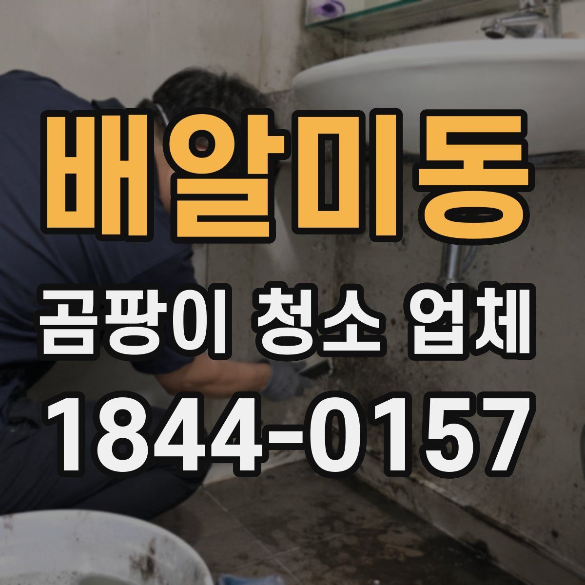 배알미동 곰팡이 청소 업체