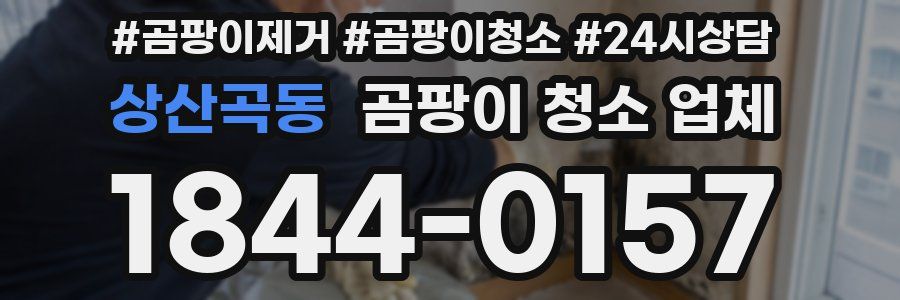 상산곡동 곰팡이 청소 업체