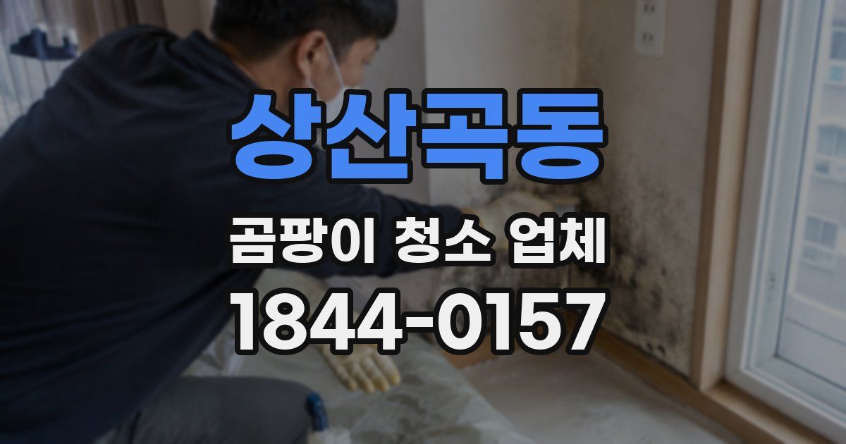 상산곡동 곰팡이 청소 업체