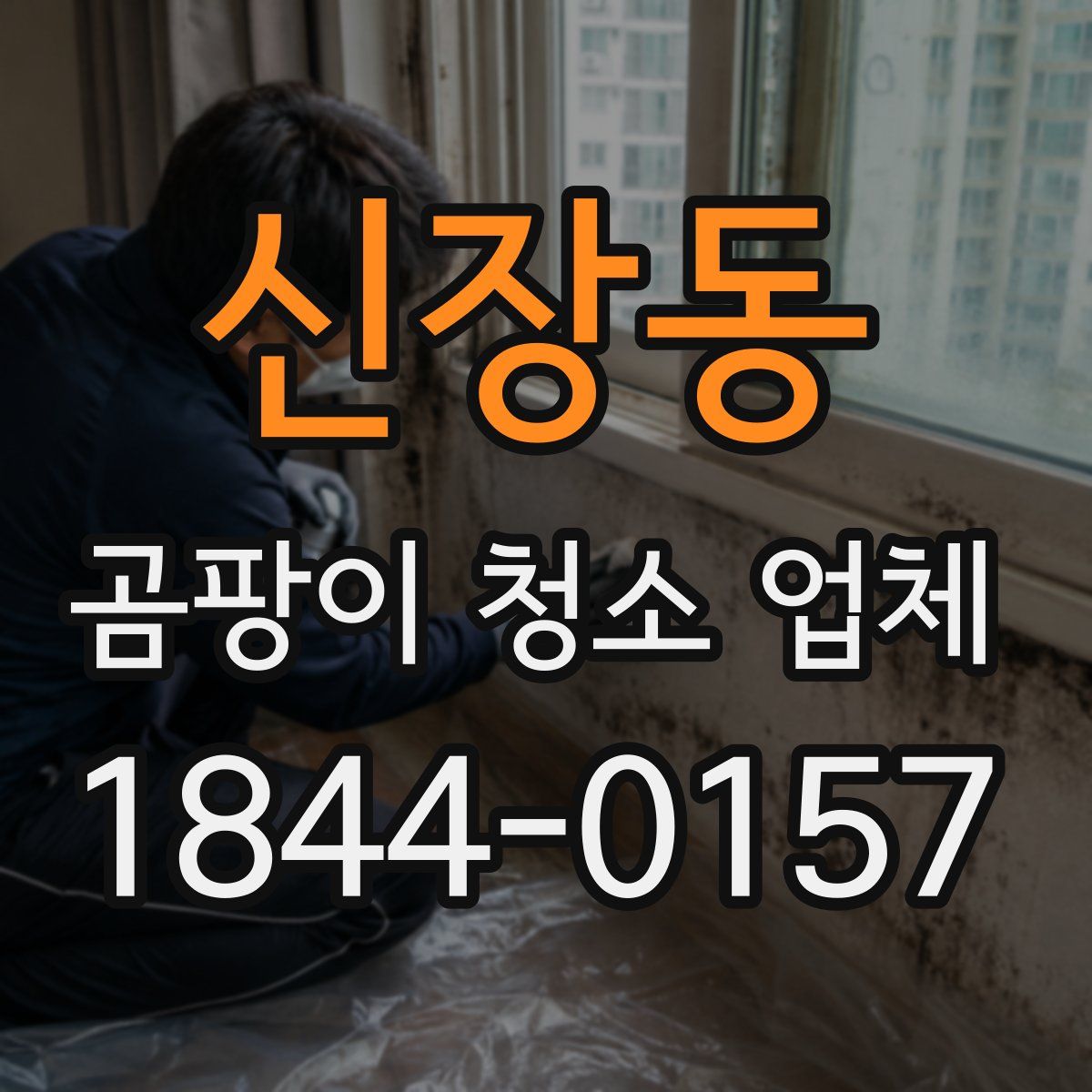 신장동 곰팡이 청소 업체
