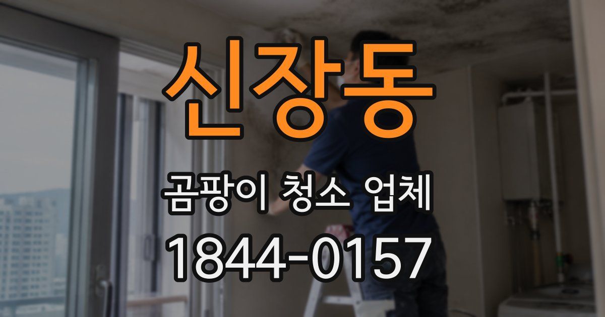신장동 곰팡이 청소 업체