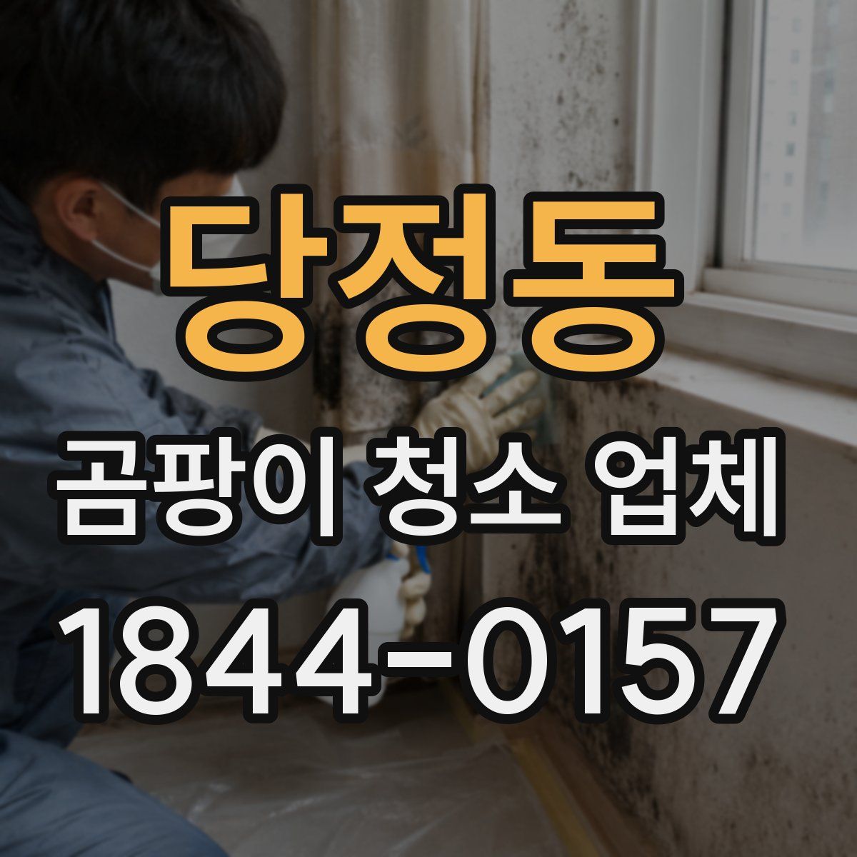 당정동 곰팡이 청소 업체