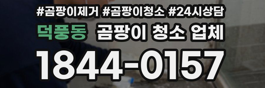 덕풍동 곰팡이 청소 업체