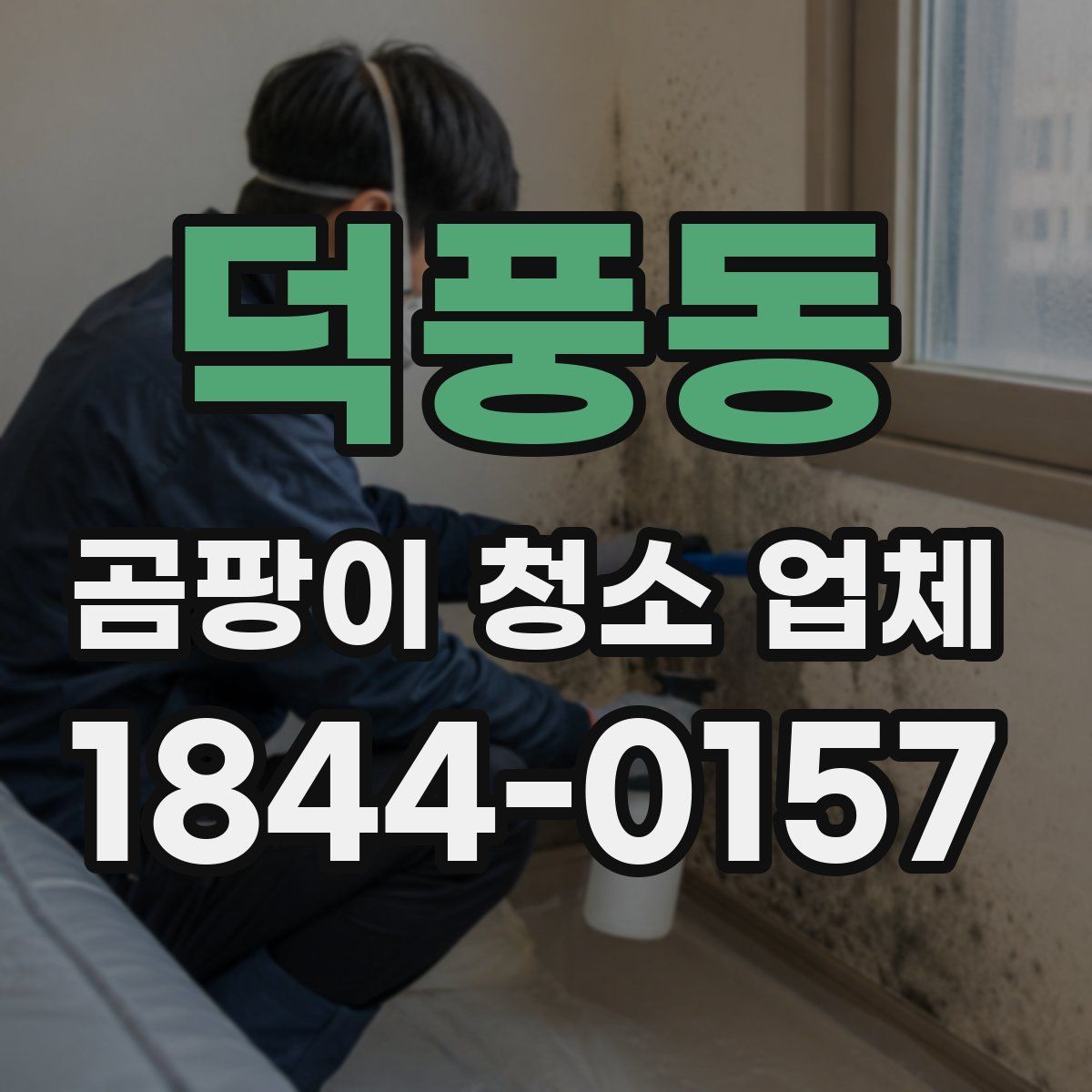 덕풍동 곰팡이 청소 업체