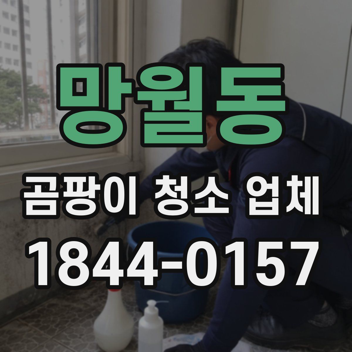 망월동 곰팡이 청소 업체