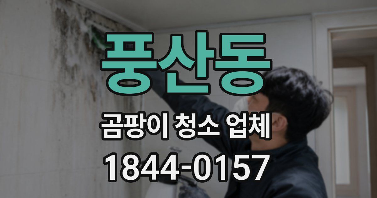 풍산동 곰팡이 청소 업체