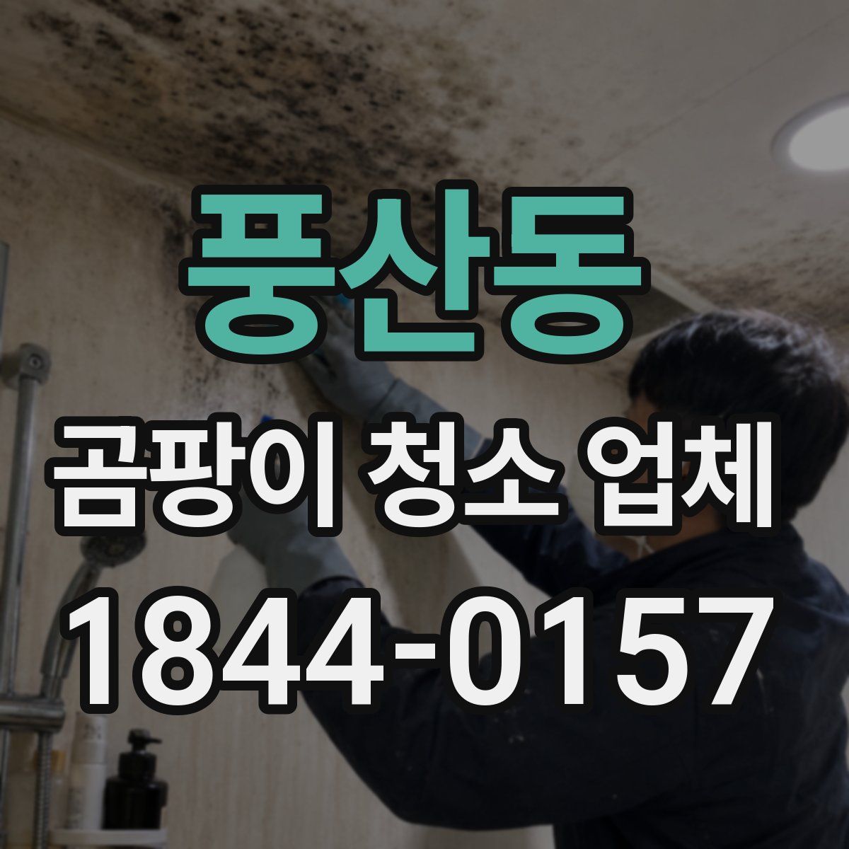 풍산동 곰팡이 청소 업체