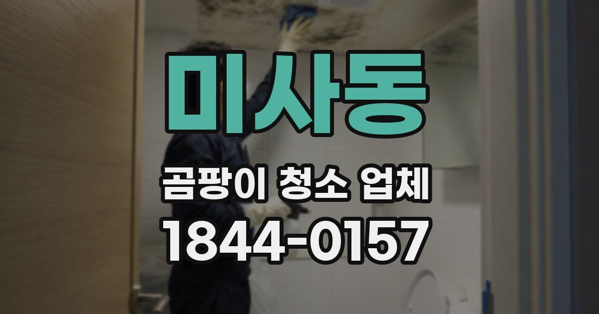 미사동 곰팡이 청소 업체