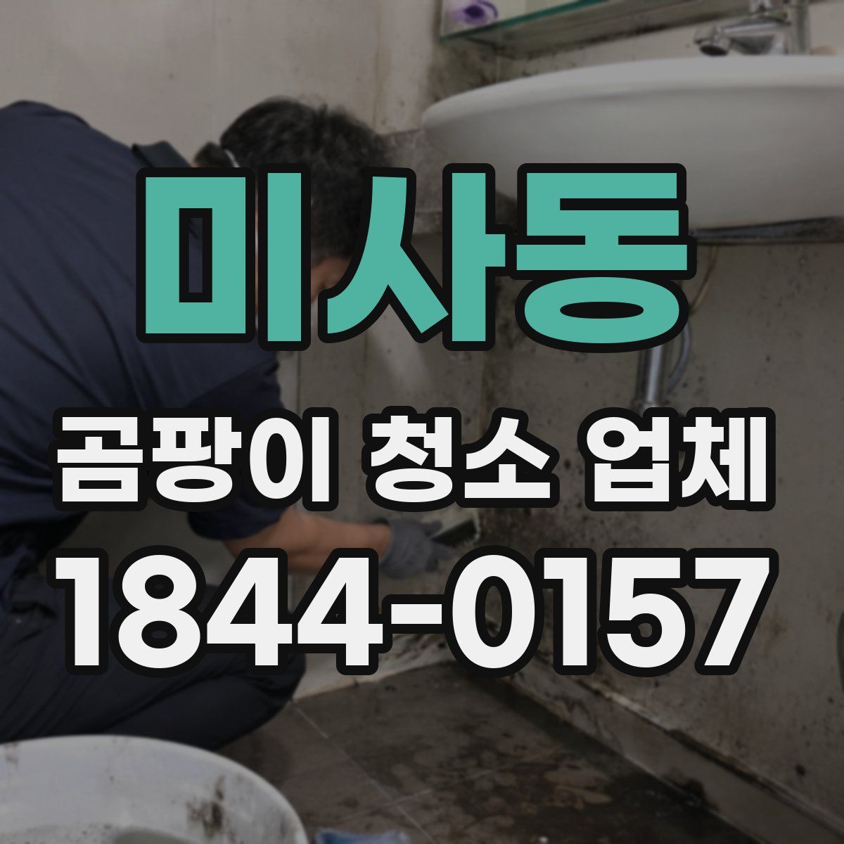 미사동 곰팡이 청소 업체