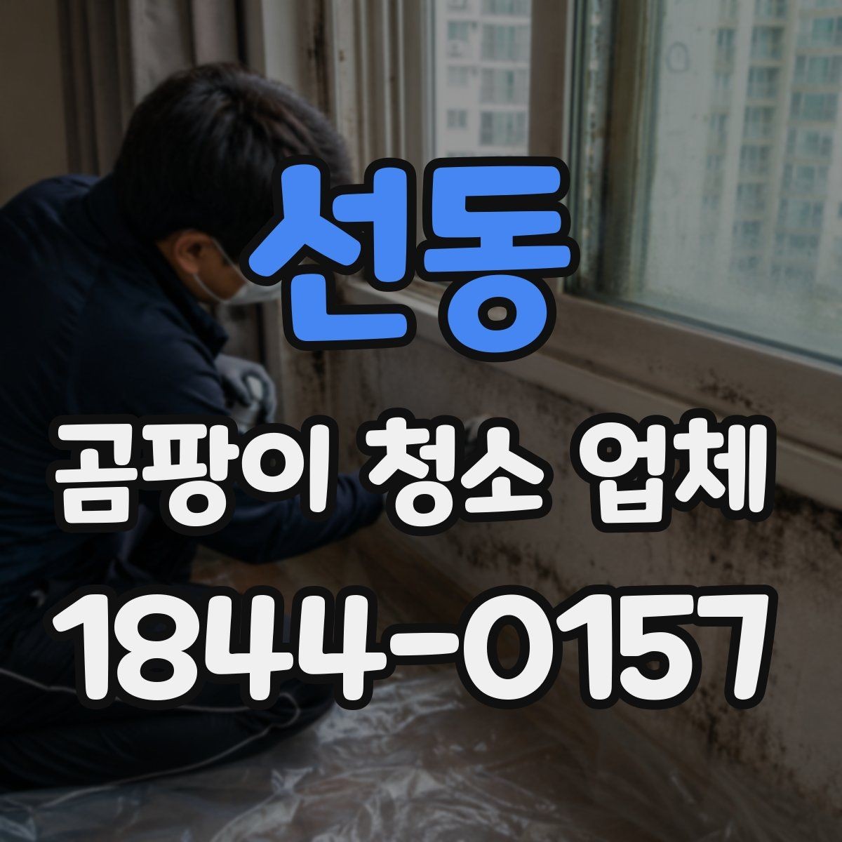 선동 곰팡이 청소 업체 장마철 습도 높을 때 대비하는 실내 관리