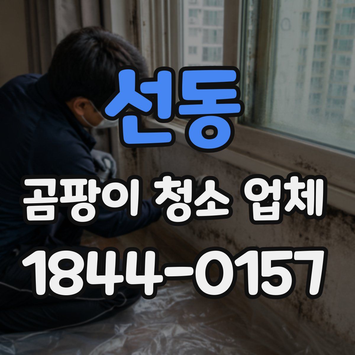 선동 곰팡이 청소 업체