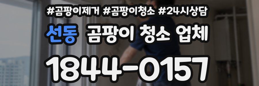 선동 곰팡이 청소 업체