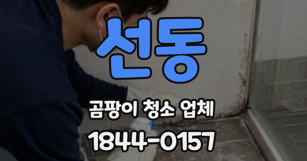 선동 곰팡이 청소 업체