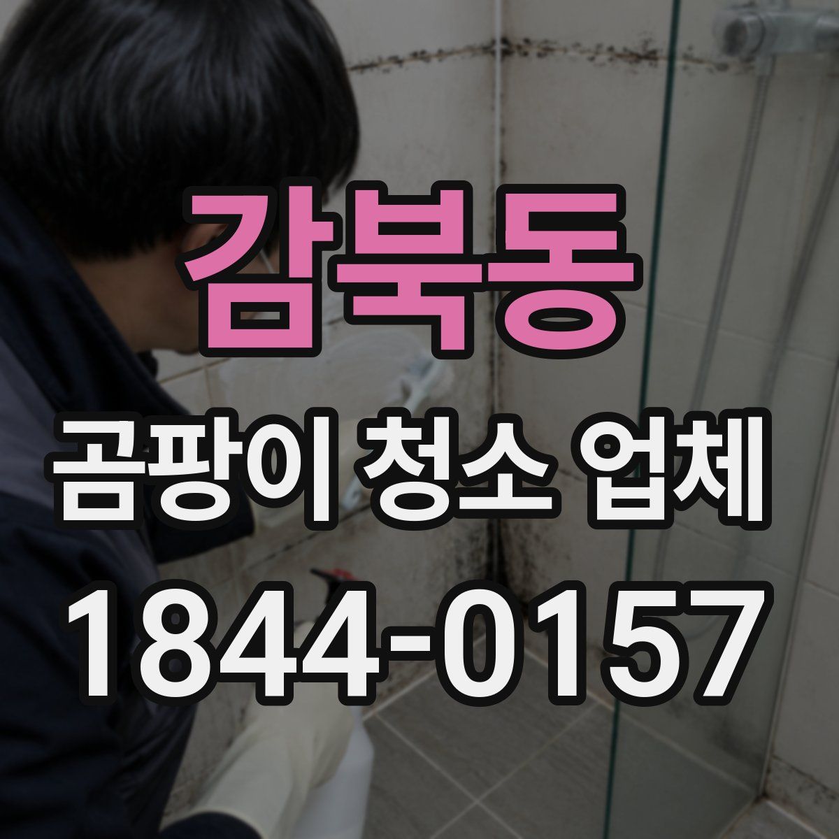 감북동 곰팡이 청소 업체