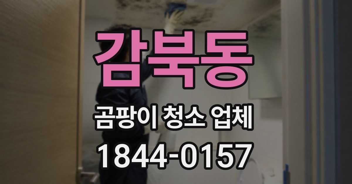감북동 곰팡이 청소 업체