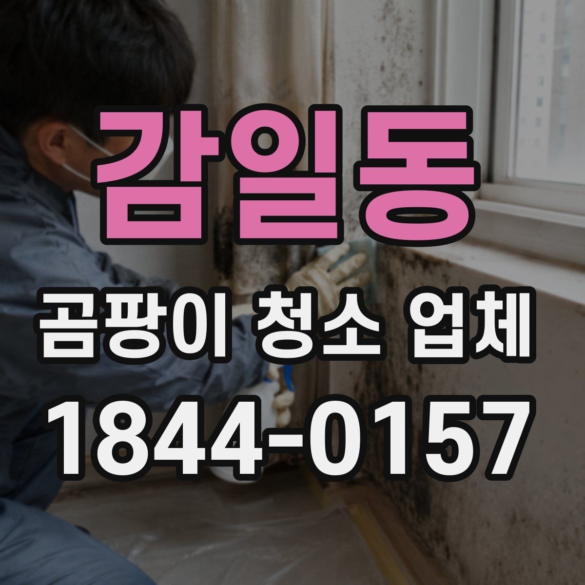 감일동 곰팡이 청소 업체 방문 전 사진으로 확인하는 현장 상태