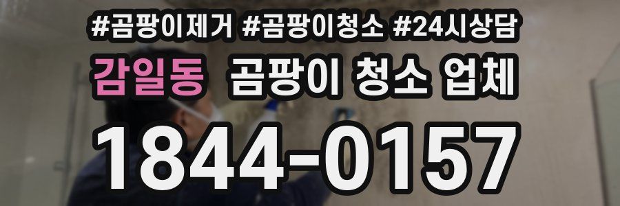 감일동 곰팡이 청소 업체